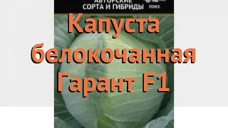 Капуста белокочанная Гарант F1 (garant f1 garant f1) ? обзор: как сажать, семена капусты Гарант F1