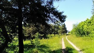 Запуск квадрокоптера в лесу. Поиски дрона в болоте.  Часть 2