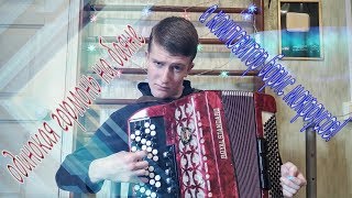 одинокая гормонь на баяне (борис мокроусов)