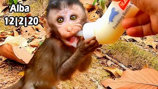 Alba Know Very Well Shucking Milk By Bottle Give From Papa| So Thank For Save Alba Life Instead Mum