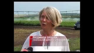 Орловка Агро-Инновационный Центр