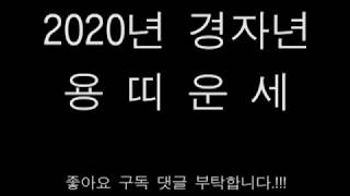 2020년 경자년 용띠운세
