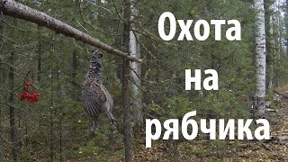 Охота на рябчика