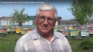 ПРОБЛЕМЫ ПЧЕЛОВОДСТВА В ТАМБОВСКОЙ ОБЛАСТИ. ИЮНЬ 2019 ГОД.