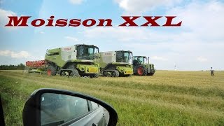 Moisson XXL 2014 - Lexion 770-780TT V1050