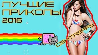 ЛУЧШИЕ ПРИКОЛЫ 2016 СЕНТЯБРЬ Самые смешные приколы за сентябрь 2016