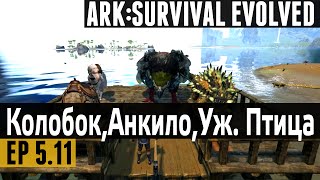 Ark: Survival Evolved - s.5.11 - Колобок, Анкило, Ужасная Птица! Продолжение истории. (The Center)