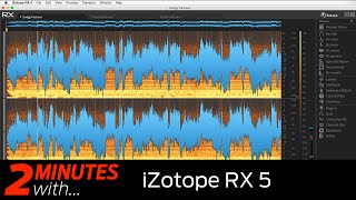 iZotope RX 5 VST/AU plugin in action