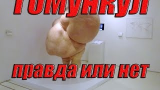 гомункул - существует ли он