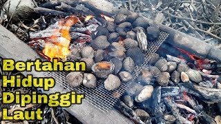 Panen Kerang Darah Saat Air Laut Surut, Lansung DiBakar