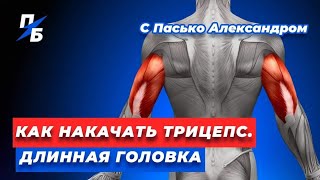 Как накачать трицепс. Длинная головка. Разгибания с гантелью одной рукой. Миография. Техника #51