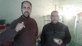 ذبابة الجندى الاسود الان فى القاهره
