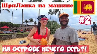 Хиккадува пляж с черепахами. Еда на Шри Ланке. Где поесть в Хиккадуве. Где купить чай. Наригама. 16+