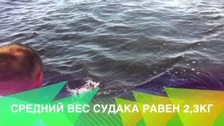 Рыбалка на Рыбинском водохранилище