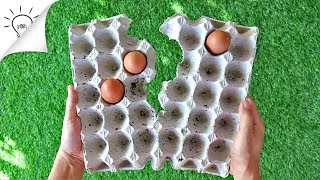 8 Creative Ideas With Egg Carton