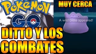 Pokémon GO DITTO Y LOS COMBATES E INTERCAMBIOS MUY CERCA