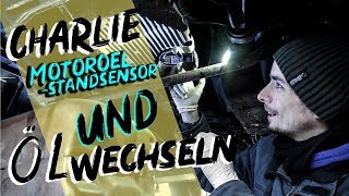 Motorölstandsensor UND ÖL Wechsel | BMW M43b19
