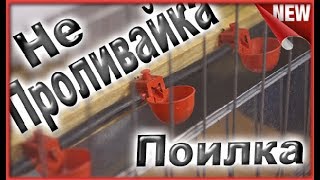 Антивандальная поилка Непроливайка для птиц Как сделать сухую чашечная поилку для Кур своими руками