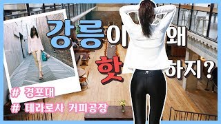 "강릉" 핫플레이스를 걸어보았다 #테라로사#커피공장#경포대#안목해변#레깅스코디 Gangneung tour, terarosa coffee factory (ENG, JAP SUB)