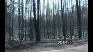 Тольятти Лесные пожары Последствия WILDFIRE IN TOGLIATTI