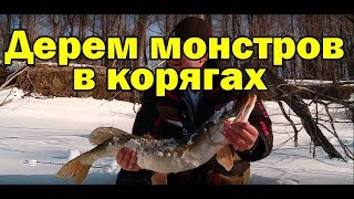 РАТЛИН!ВИБ!!!РАТТЛИН! РЫБАЛКА 2019