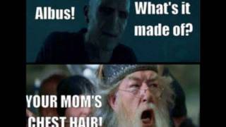 The Funniest of Harry Potter Picture Song