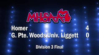 2019 MHSAA Baseball Finals Highlights