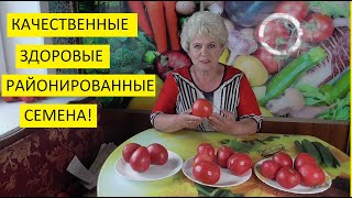 Бесплатные семена! Самые лучшие семена томатов! Заготовьте семена томатов своими руками.