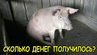 ПРИШЛА ПОРА.ПЛЮС ДВЕ ВЕЩИ УПРОЩАЮЩУЮ РАЗДЕЛКУ ПОРОСЕНКА,О КОТОРЫХ Я НЕ ЗНАЛ.КАК РАЗДЕЛАТЬ ПОРОСЕНКА.