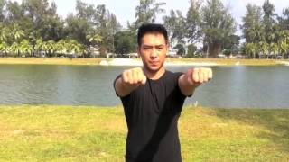 功夫者－武术基本功第一课手型步型训练