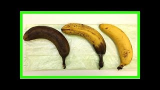 Conservation des Bananes : Comment les Conserver Plus Longtemps ?