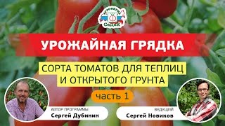 СОРТА ТОМАТОВ ДЛЯ ТЕПЛИЦ И ОТКРЫТОГО ГРУНТА, часть 1