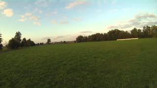 T-Rex 550 V2.2 mit DFC Kopf