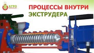 Принцип работы экструдера (Для производства кормов). ХИМИЯ и ФИЗИКА процесса