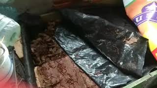 067 биогумус#черви#зимой в условиях Украины