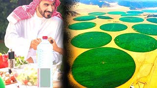كيف تحصل المملكة العربية السعودية على الماء رغم قلة مصادر المياه !!