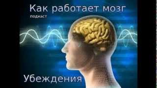 Как работает мозг. Убеждения