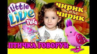 ПТИЧКА ЛИТЛ ЛАЙВ ПЕТС/ЖИВАЯ ИГРУШКА/ОБЗОР