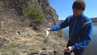 Удачный выезд на Енисей за хариусом! (30.04.18) Рыбалка удалась!