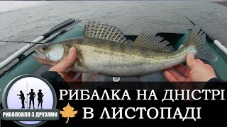 Рибалка на Дністрі, осінь, Чернівецька обл, Берново. 2018