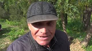 Николаевские голуби. Николаев.Ярмарка 27.10.2018. 3 ч.