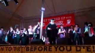 Dr Busker & The Dorset R.A.T.S "The Dorset Flag"
