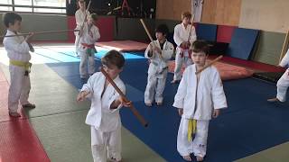 Judo fulcrums Training & explanation to help children understand.