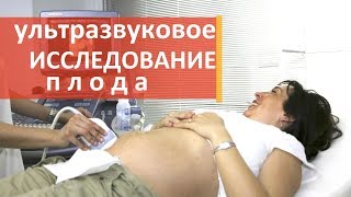 Узи исследование. ? Экспертное узи исследование плода.  Мать и Дитя