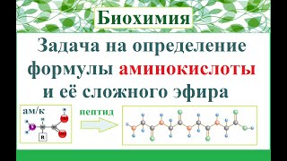Задача на определение формулы аминокислоты и ее сложного эфира