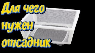 Отсадник для малька, рыб с Алиэкспресс!