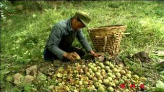Национальный парк «Три параллельные  ... (UNESCO/NHK)
