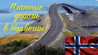 Платные дороги в Норвегии! Сколько стоят? Как и где платить?