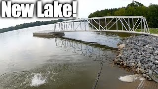 Bass Fishing at a NEW LAKE! - How to Catch Bass from the Bank