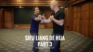 Yang style Fa Jin 發勁 is not a push | Sifu Liang De Hua (Part 3) | Season 2 Episode 07